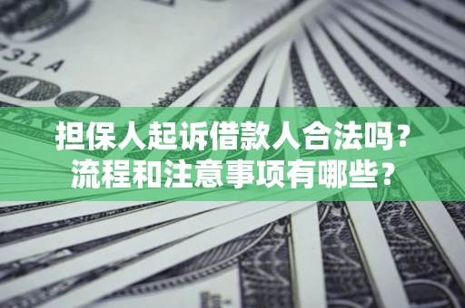 济南担保人起诉借款人合法吗？流程和注意事项有哪些？