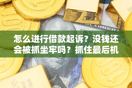 济南怎么进行借款起诉？没钱还会被抓坐牢吗？抓住最后机会！