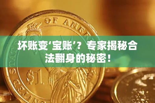 济南坏账变‘宝账’？专家揭秘合法翻身的秘密！