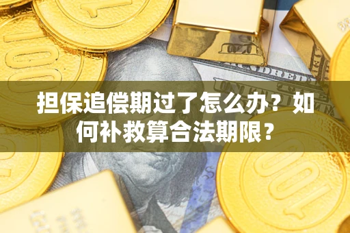 济南担保追偿期过了怎么办？如何补救算合法期限？