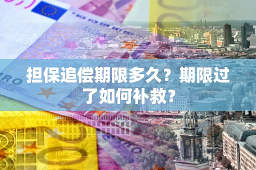 济南担保追偿期限多久？期限过了如何补救？