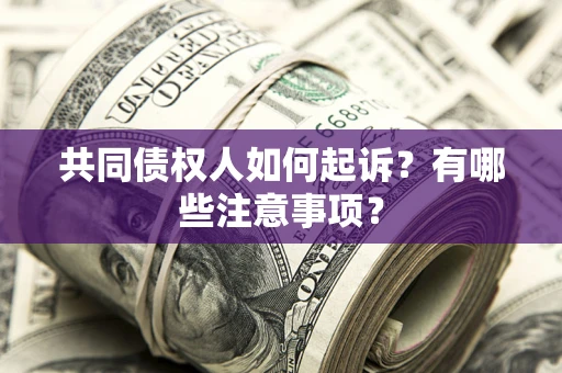 济南共同债权人如何起诉？有哪些注意事项？